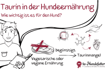 Taurin in der Hundeernährung