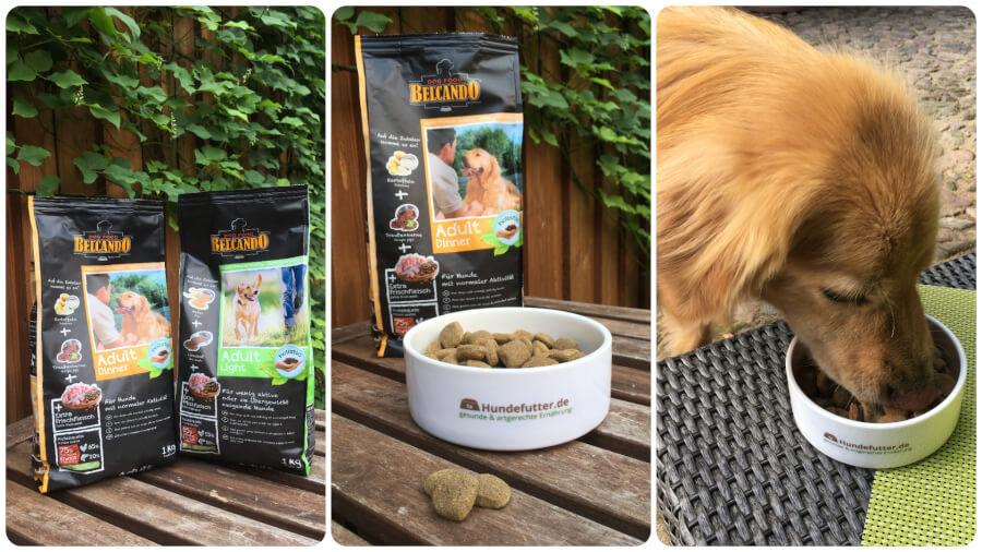 Stilvolle Belcando Hundefutter Im Test Ebenbild