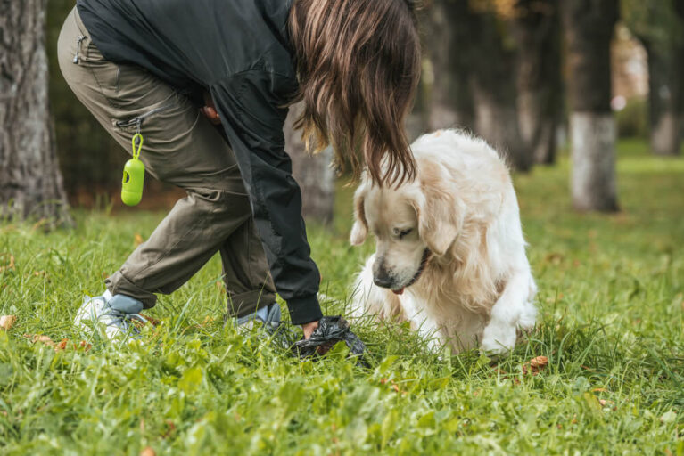 Durchfall beim Hund was tun bei weichem Kot? (Ursachen / Erste Hilfe)