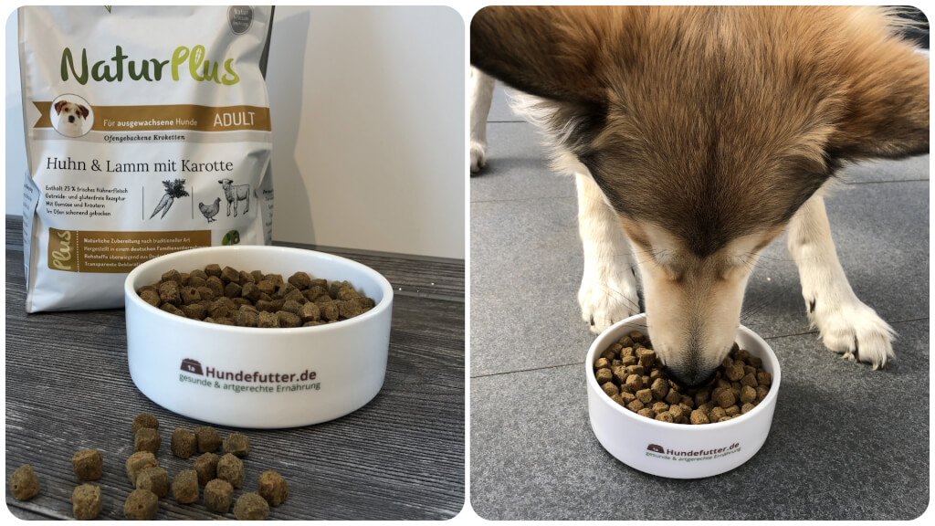 Naturo Hundefutter Senior – Nassfutter Mit Truthahn, Reis & Gemüse, 3 X 400 G