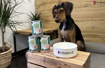Zooplus Bio Hundefutter Test