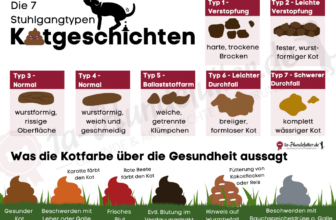 Typen von Hundekot