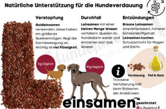 Infografik zu Leinsamen