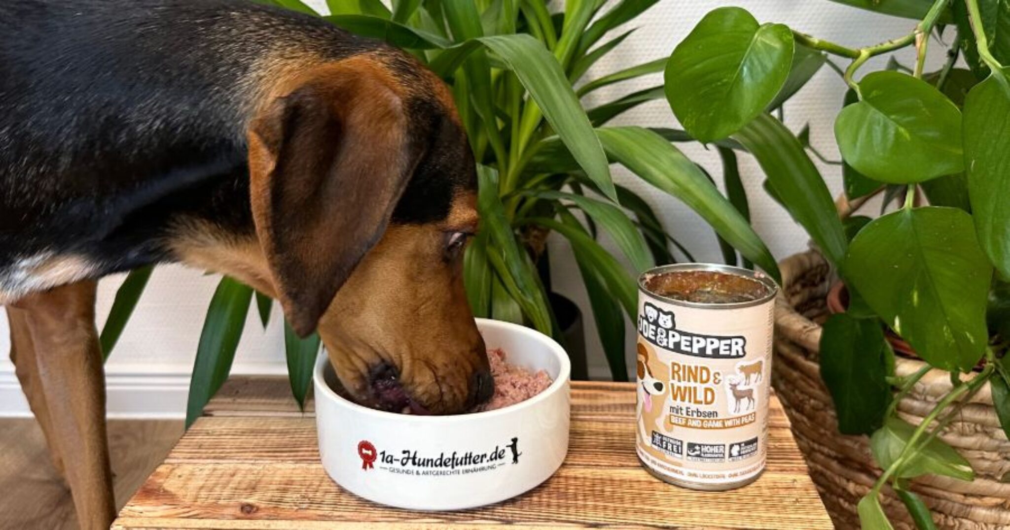 Joe & Pepper Hundefutter Test Unsere Erfahrungen 2024