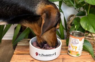 Dr. Link Hunde Nassfutter Test