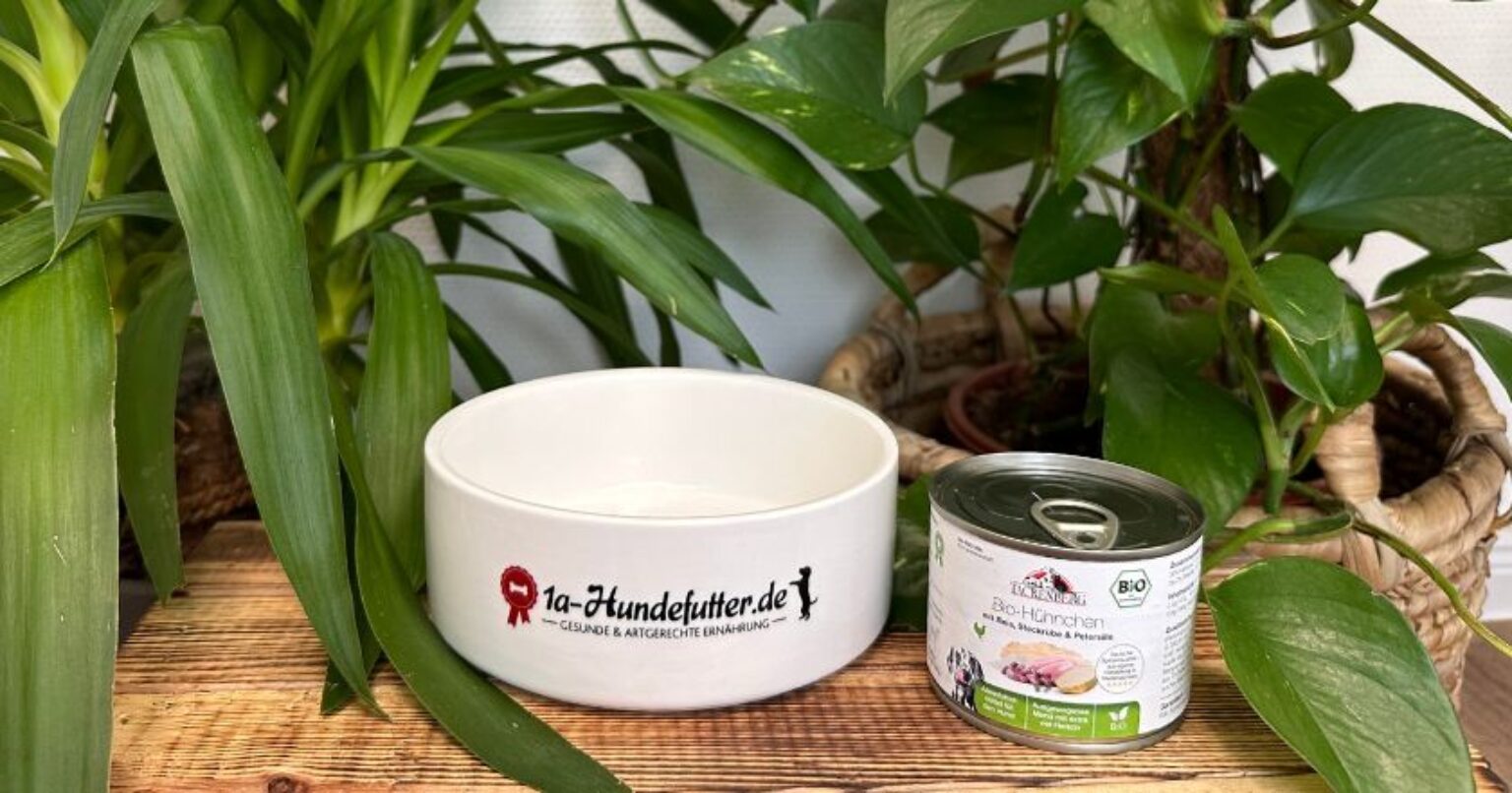 TACKENBERG Bio-Rind Hundefutter – Mit Karotte & Hagebutte, 6 X 800 G Dosen, Getreidefrei, Für Alle Hunde