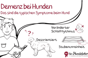 Demenz bei Hunden