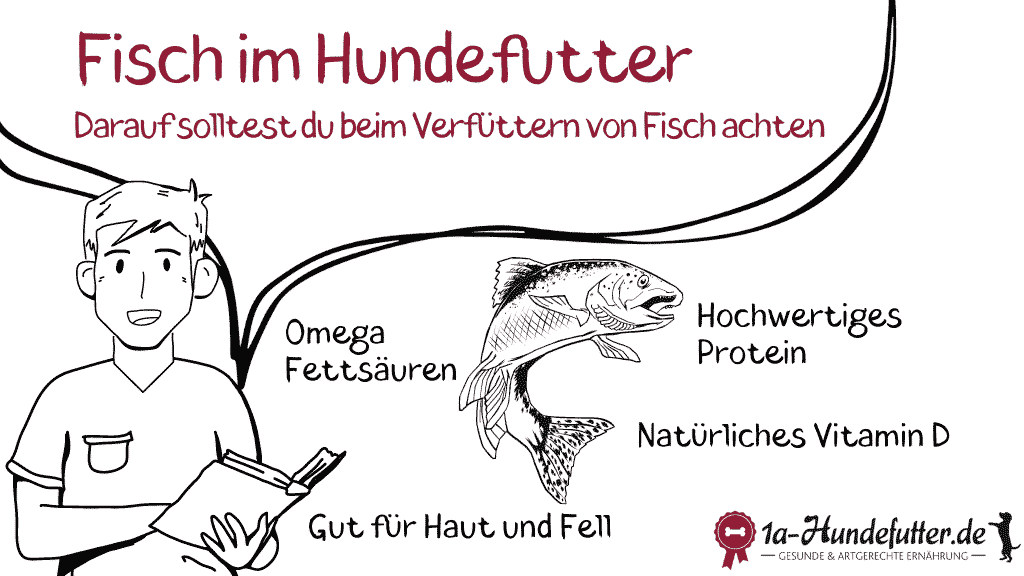 Fisch-Hundefutter