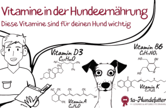 Vitamine in der Hundeernährung
