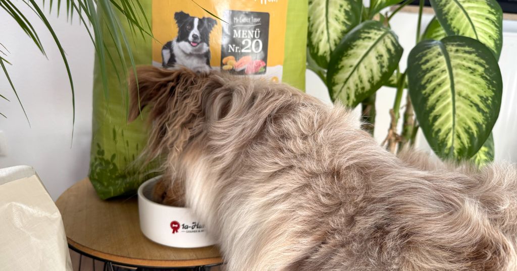 MyPetClub Trockenfutter Test