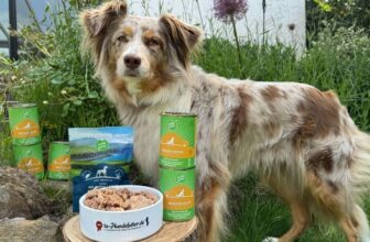 Irish Pure Hundefutter Test