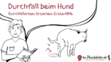 Durchfall beim Hund (Ursachen, Erste Hilfe und Ernährung)