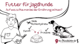 Jagdhundefutter Test: die beste Ernährung für Jagdhunde