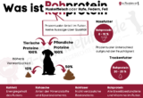Was ist Rohprotein im Hundefutter?