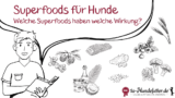 Superfoods für Hunde & ihre positiven Effekte auf die Gesundheit