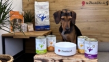 Vet-Concept Hundefutter Test