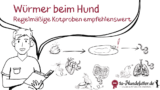 Wurmbefall beim Hund und die natürliche Entwurmung ohne Chemie