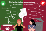Was bedeutet tierische Nebenerzeugnisse im Hundefutter?