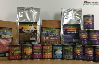 Wildborn Hundefutter im Praxistest